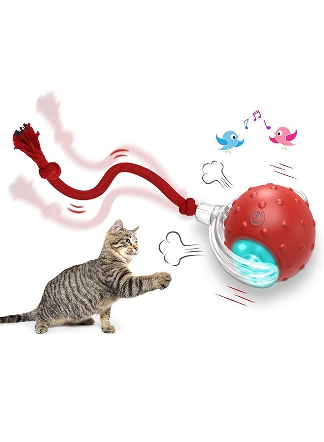 Interactive Cat Toys Ball for Indoor Cats Fast Rolling on Carpet, Chirping & Motion Activate Cat Toys - Image 1